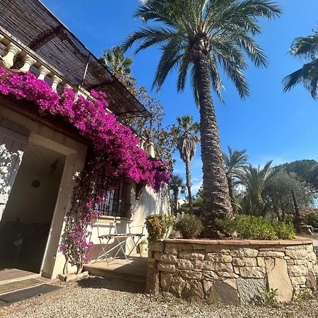 Appartamento Les Palmiers Fréjus Esterno foto