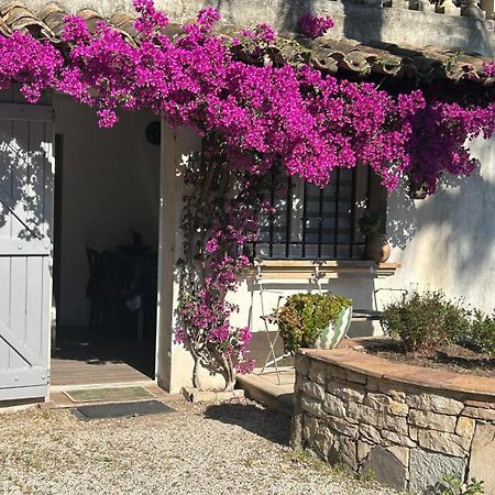Appartamento Les Palmiers Fréjus Esterno foto