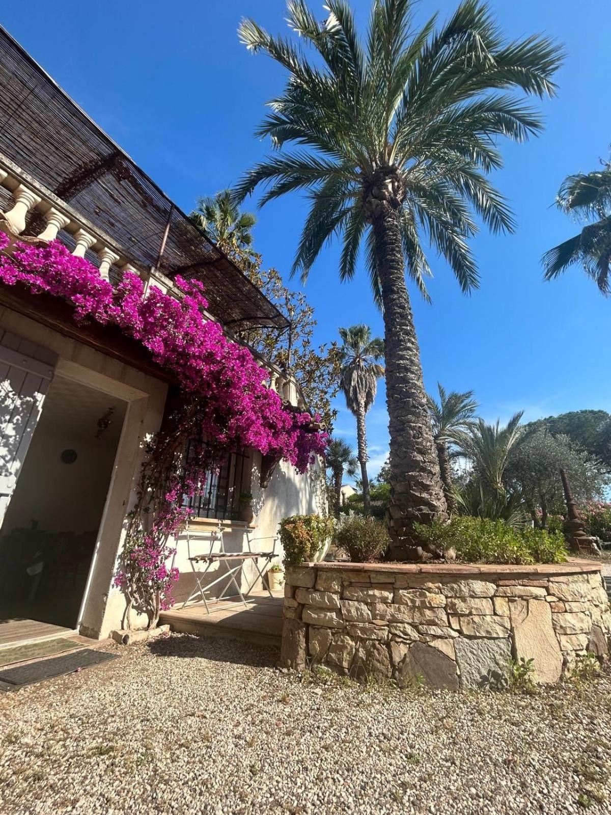 Appartamento Les Palmiers Fréjus Esterno foto