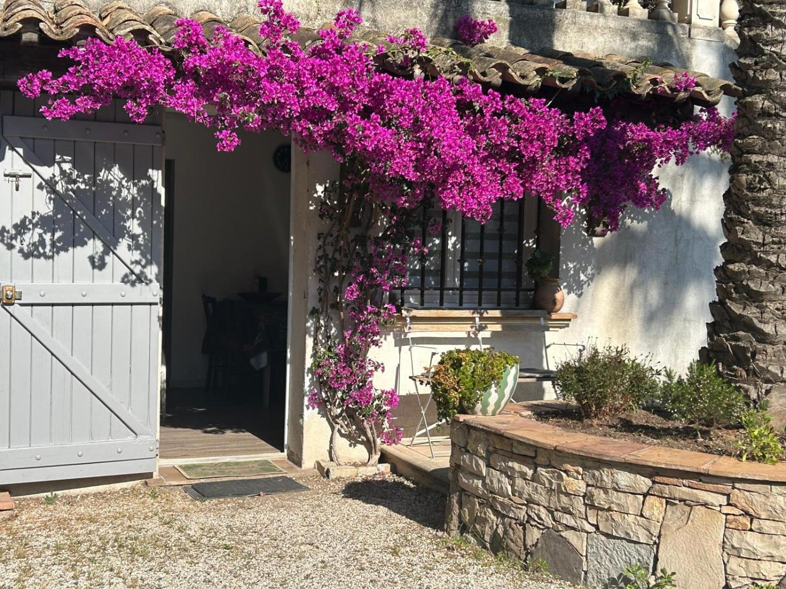 Appartamento Les Palmiers Fréjus Esterno foto